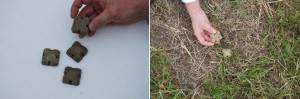 Jaukai su vakcina prieš pasiutligės susirgimą
