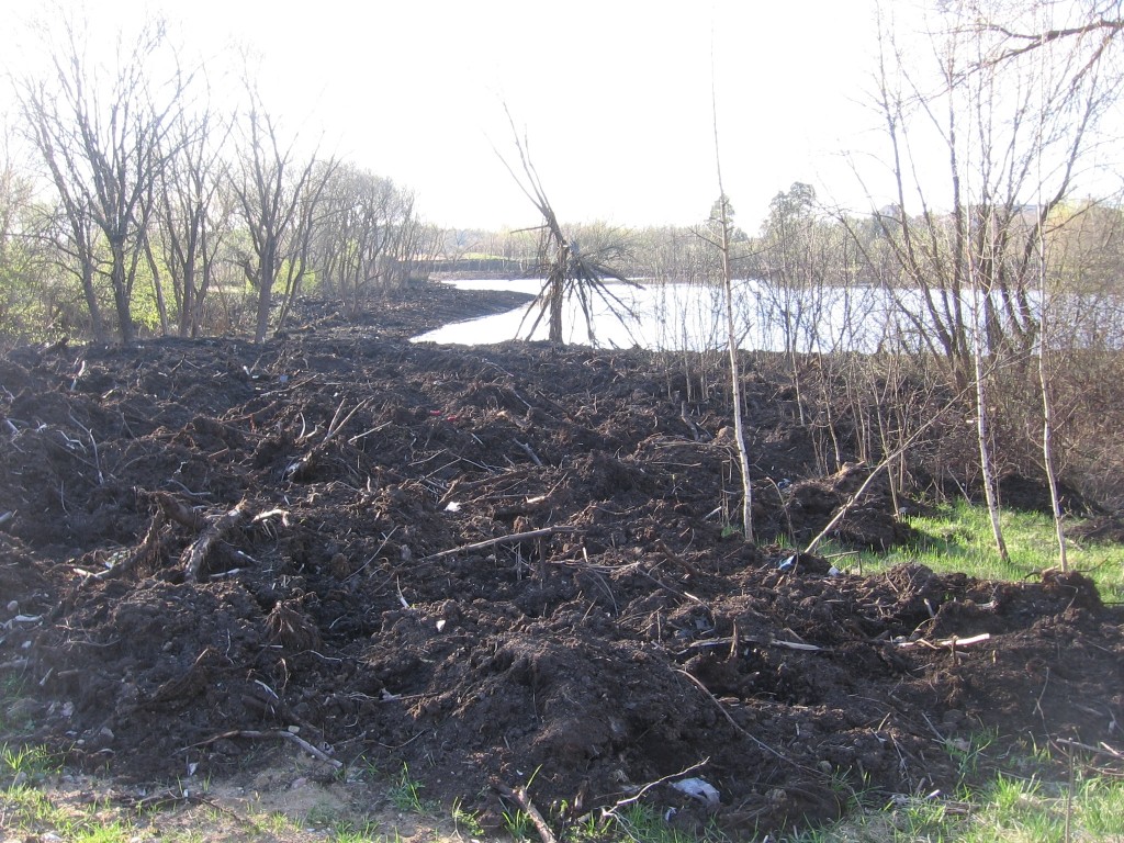 Lentvario Bevardžio ežerėlio iškastas dumblas riogso išverstas ant kranto, bet jo cheminiai tyrimai dar neatlikti