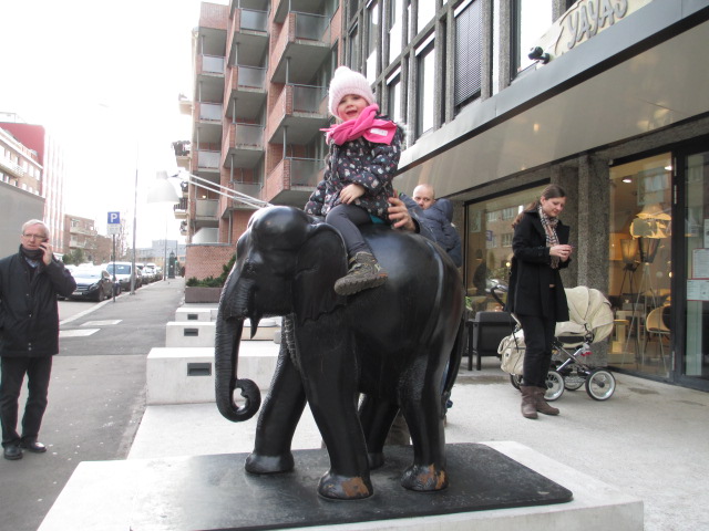 Ar “Barnevernet” nedraudžia vaikams jodinėti ant dramblių?