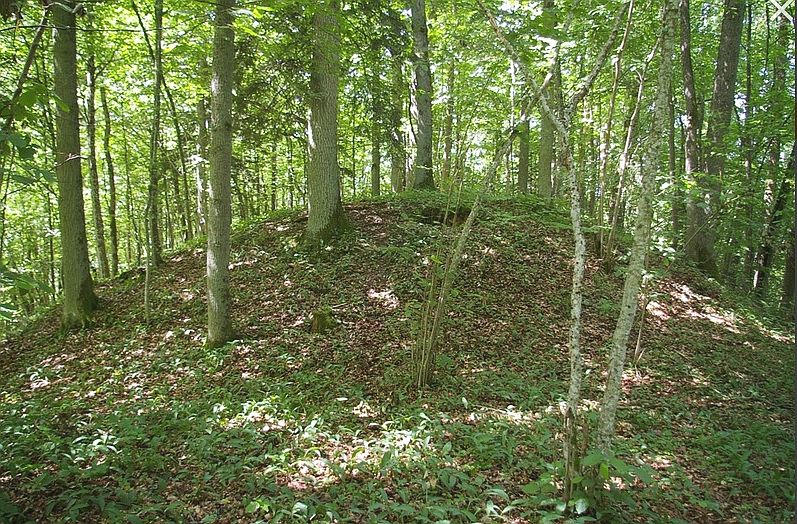 Kalno Grikštų piliakalnis II_Aruno Strazdo nuotr.