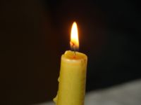 www.zemaitijosnp.lt