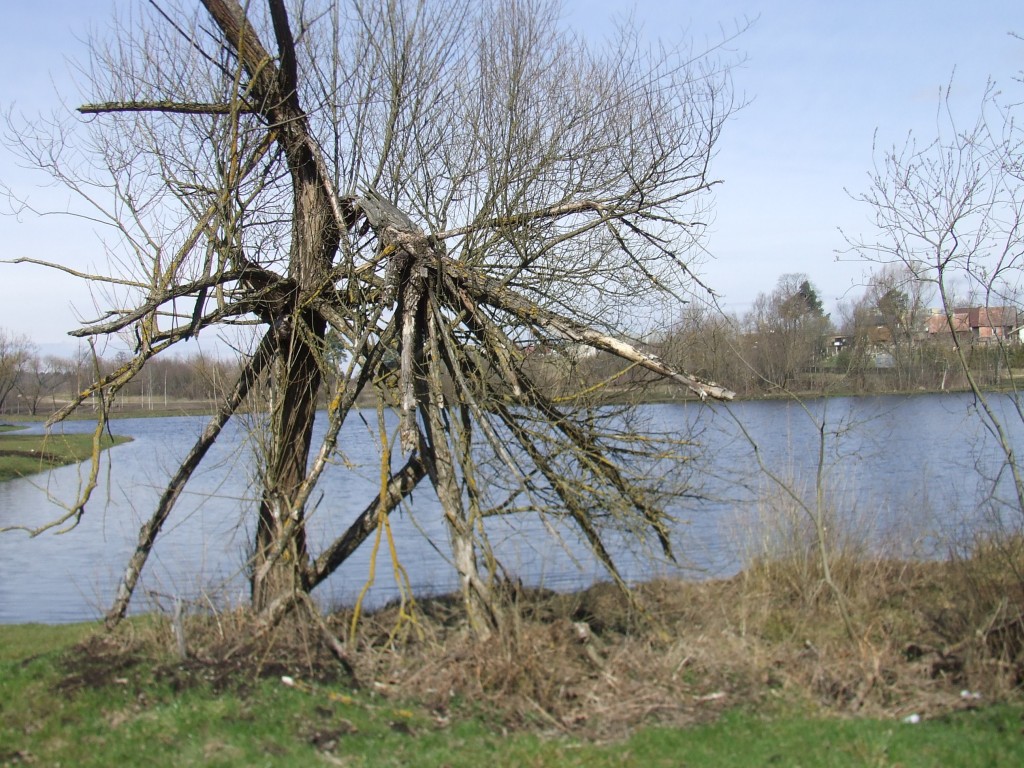 LENTVARIO FOTO AKIŲ METRAŠTIS