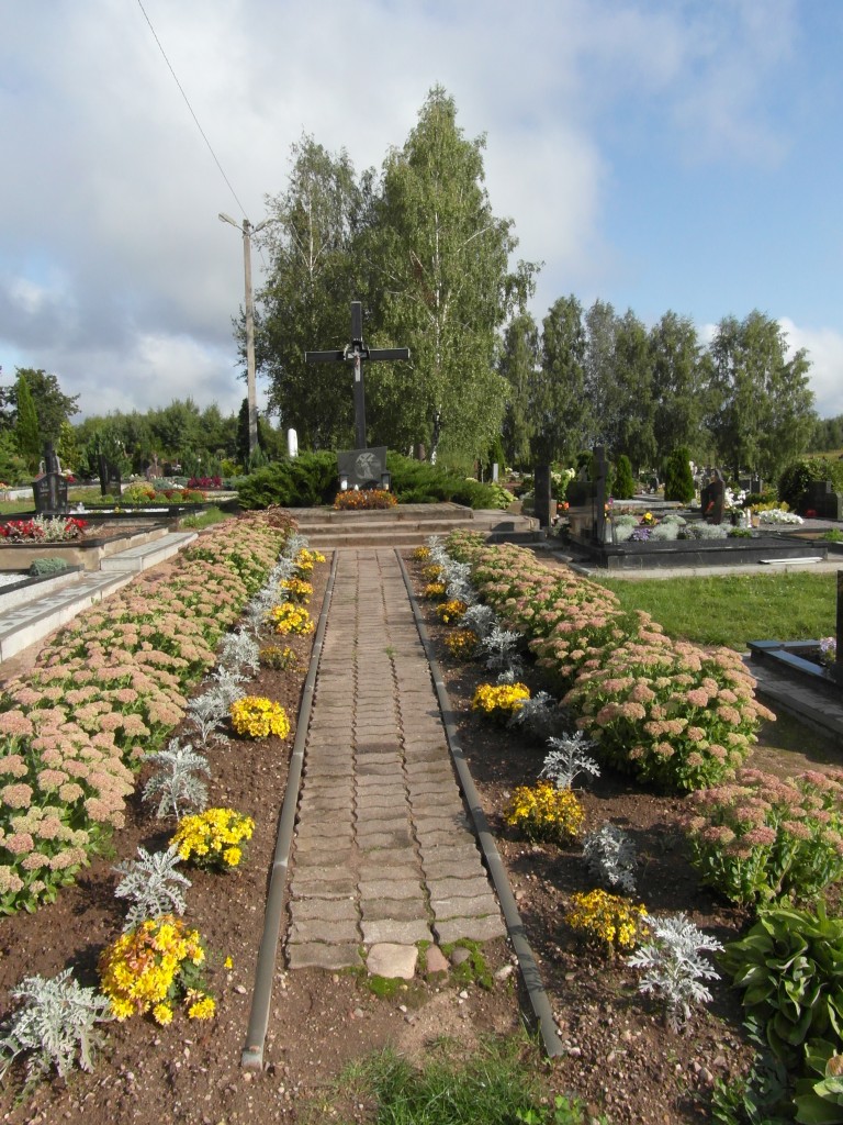 SAM_0013