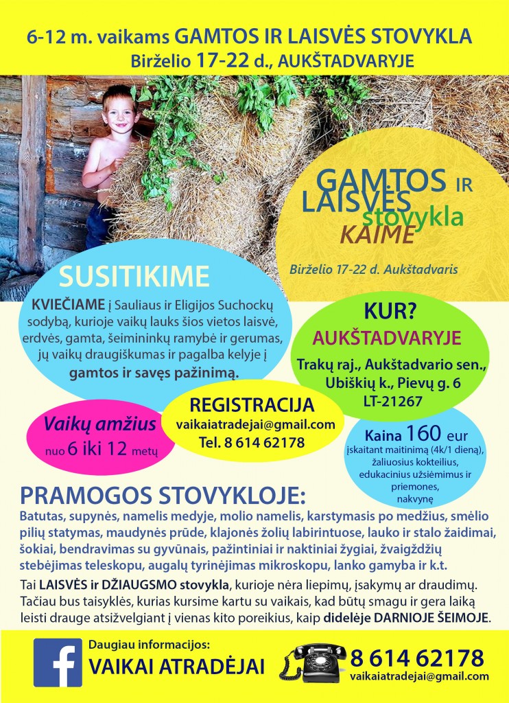 Stovyklos plakatas pas Eligija